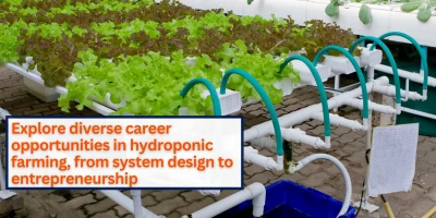 Exploring Diverse Career Opportunities in Hydroponic Farming